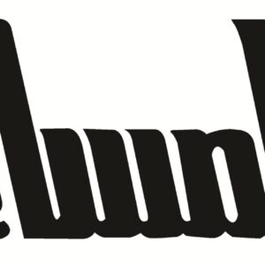 جريدة المساء