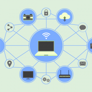 الشبكات Networks